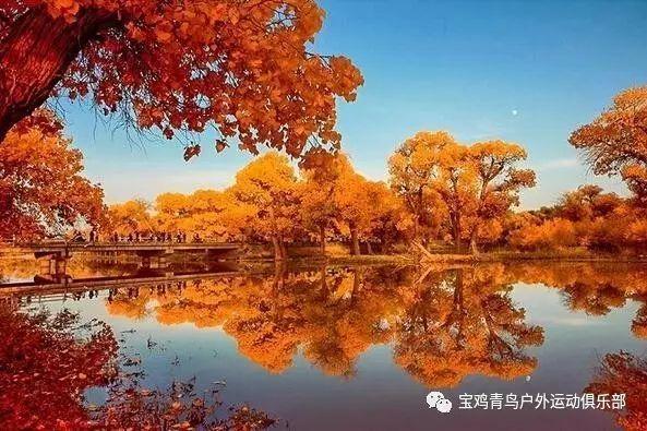 地球防卫军4.1
