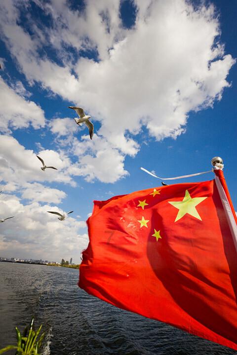 动物帮帮忙保卫家园